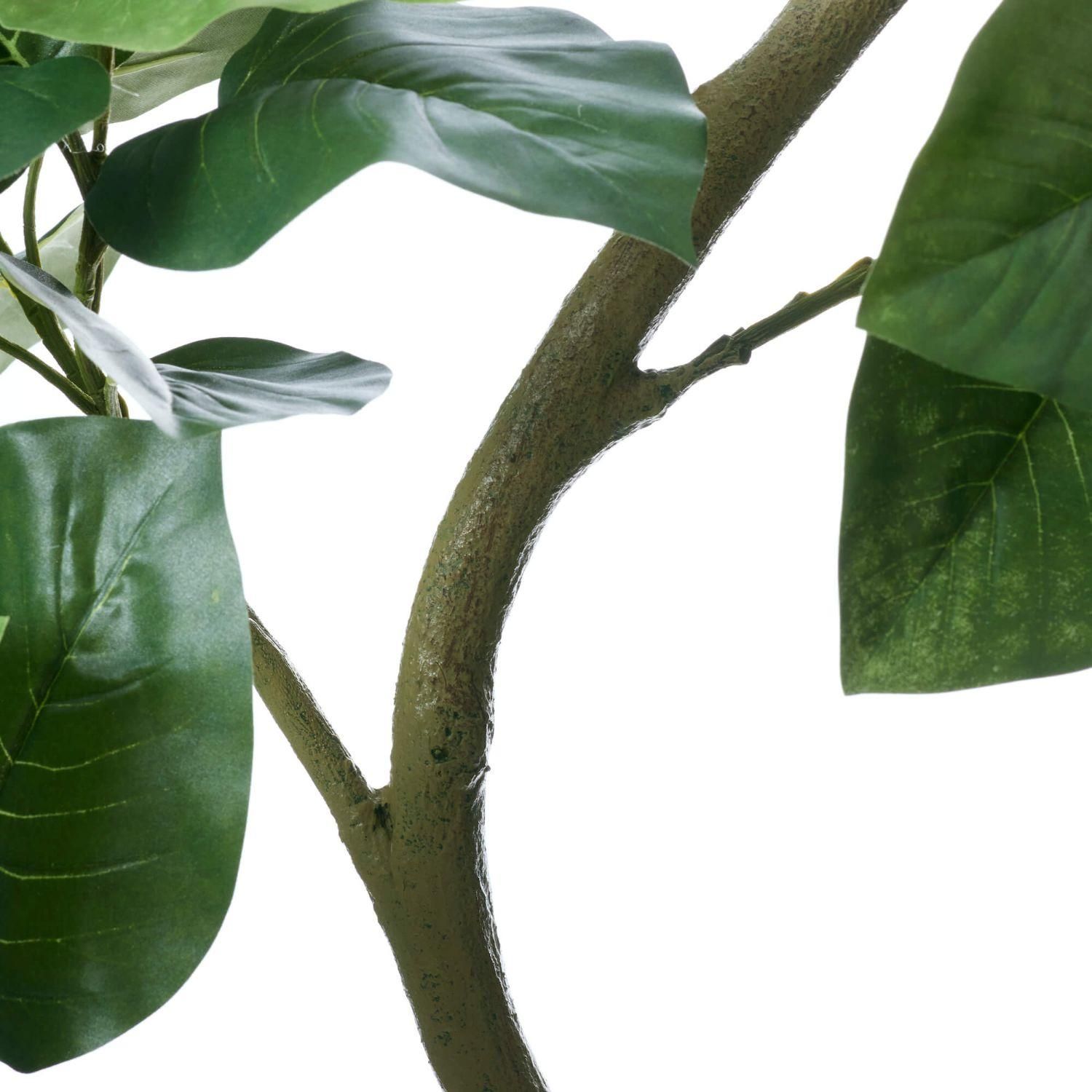 ĥȥ٥顼 塼 H200cm տʪ ե꡼ Ҹľʡ eco