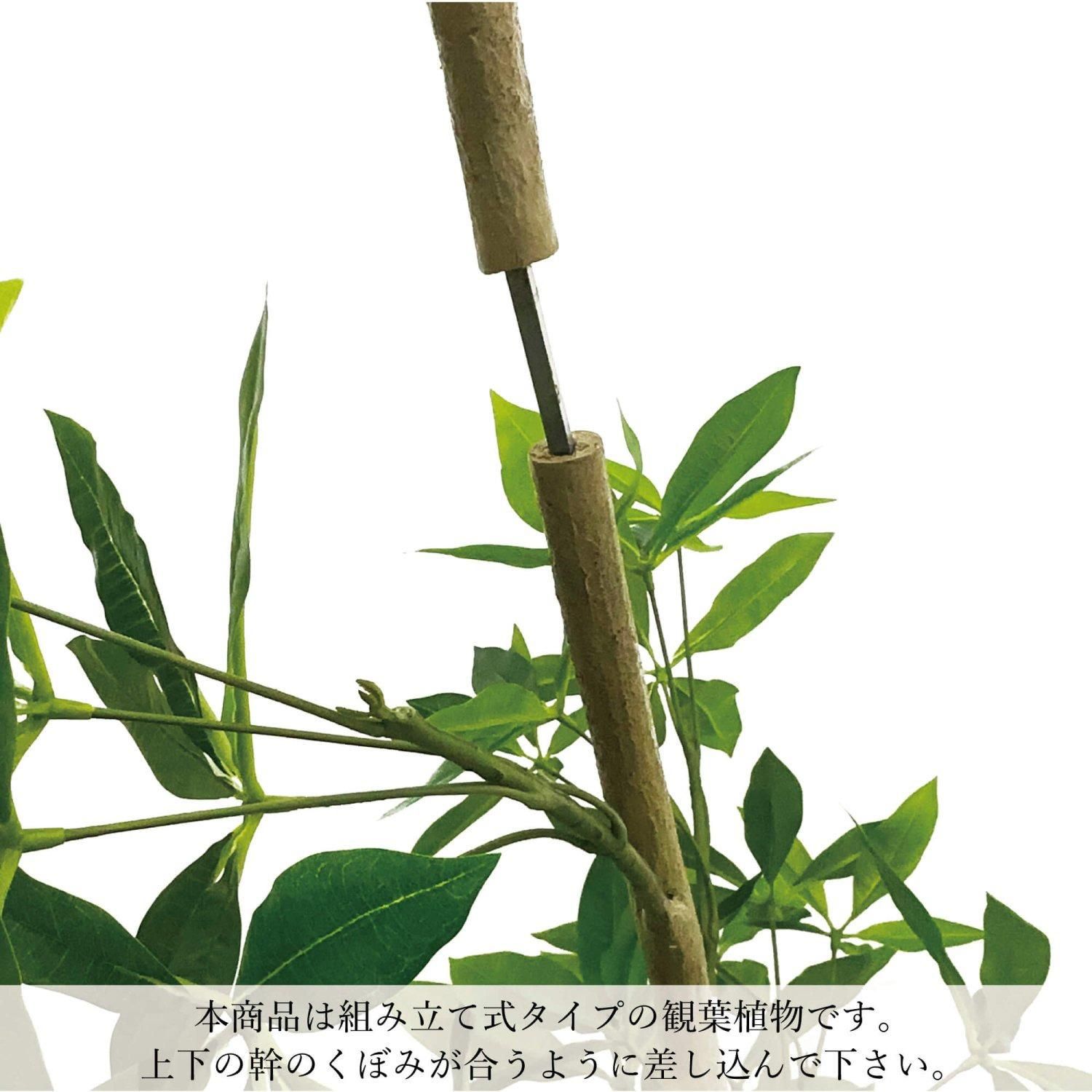 ツイストアルテシマの観葉植物 フェイクグリーン | 造花専門店プリマ