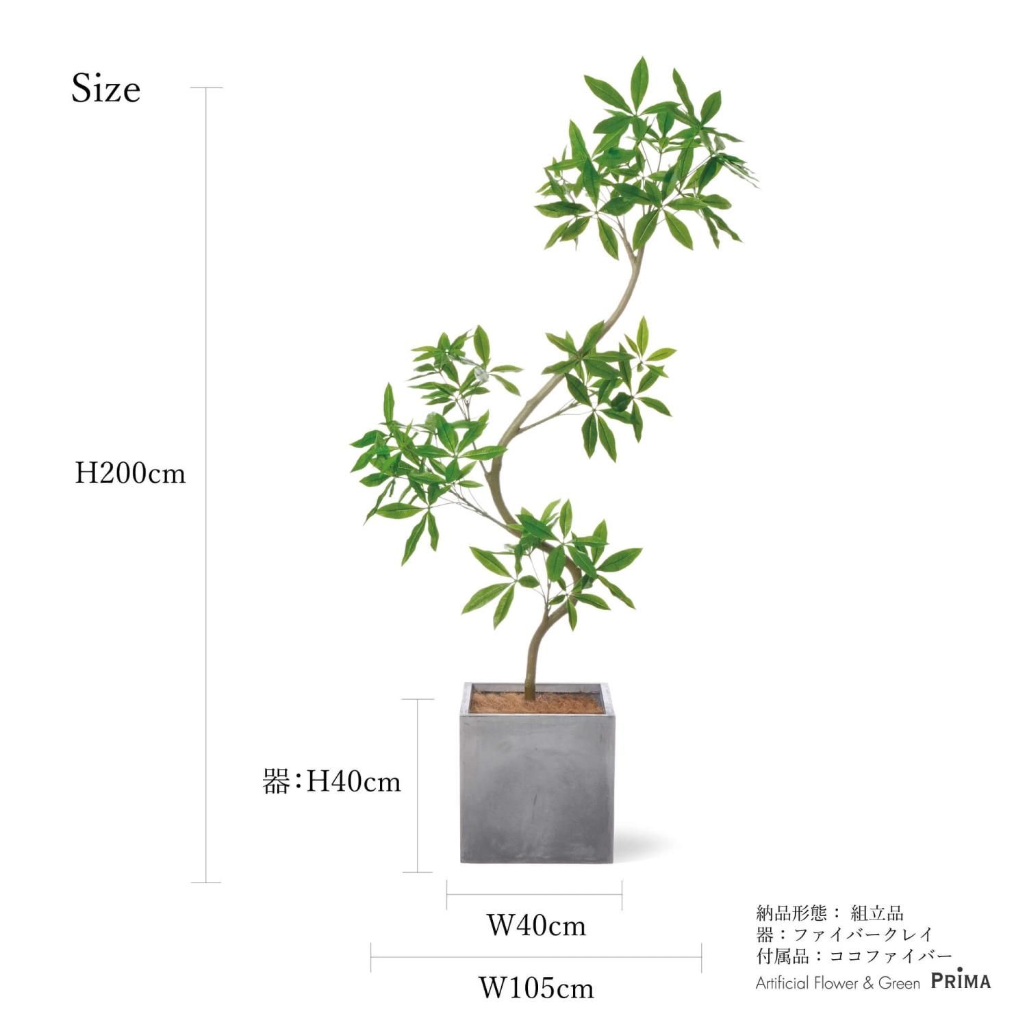 ツイストパキラの観葉植物 フェイクグリーン | 造花専門店プリマ