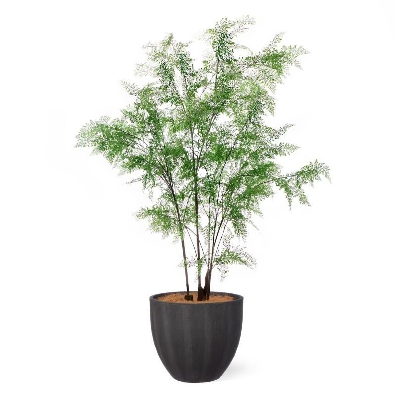 ⭐︎リアル　シダなど フロアグリーン（大型） シダ│フェイクグリーン・造花専門店