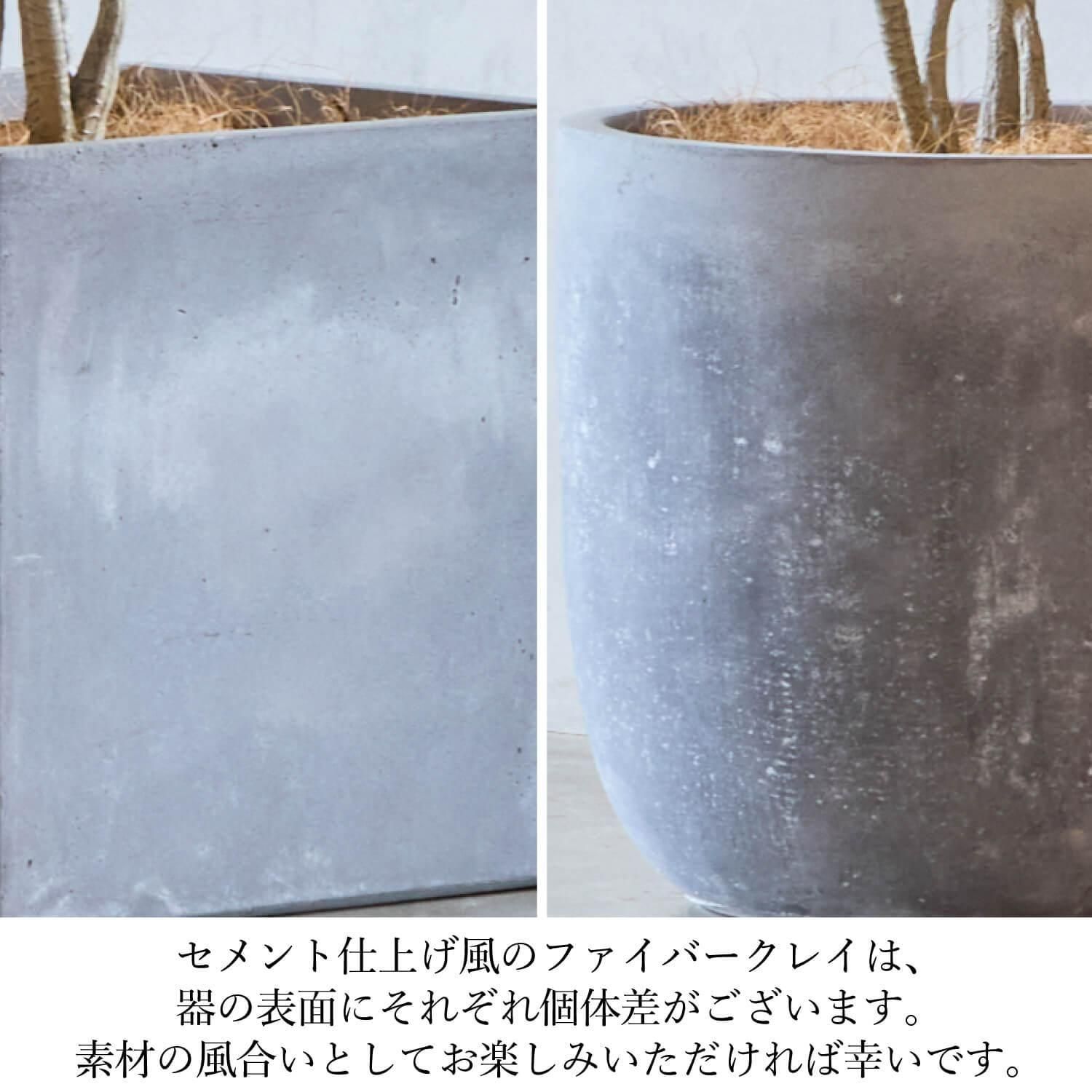 ꡼ 塼 H200cm տʪ ե꡼ Ҹľʡ