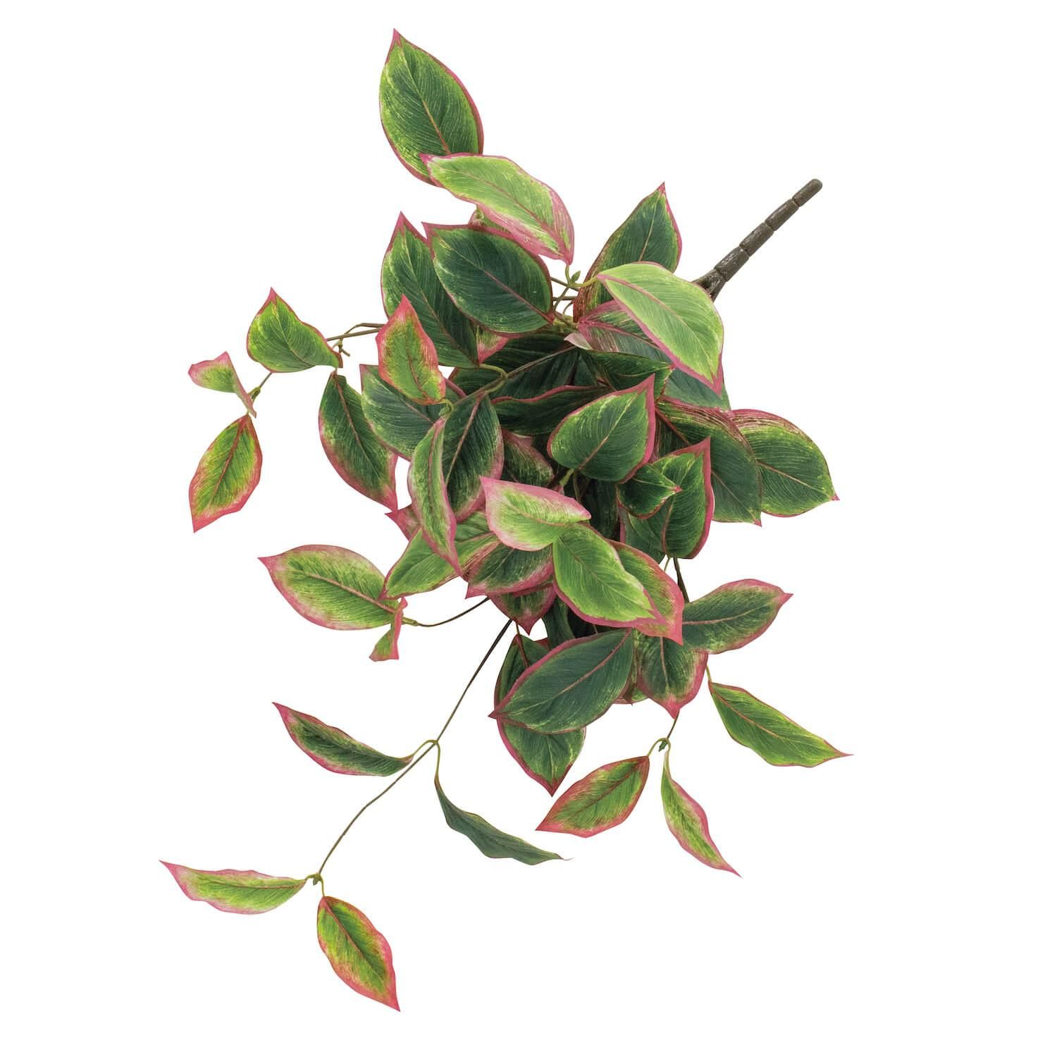 アグラオネマ 1本売り | 造花専門店プリマ