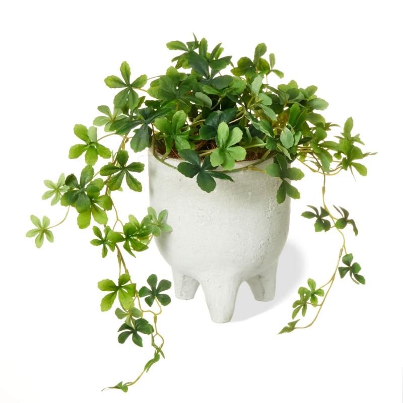 シュガーバイン│フェイクグリーン・造花専門店プリマ 通販