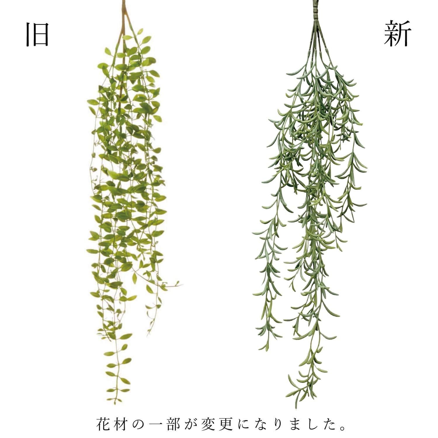 ե쥭֥륫ƥ եå奰꡼ տʪ ե꡼ eco