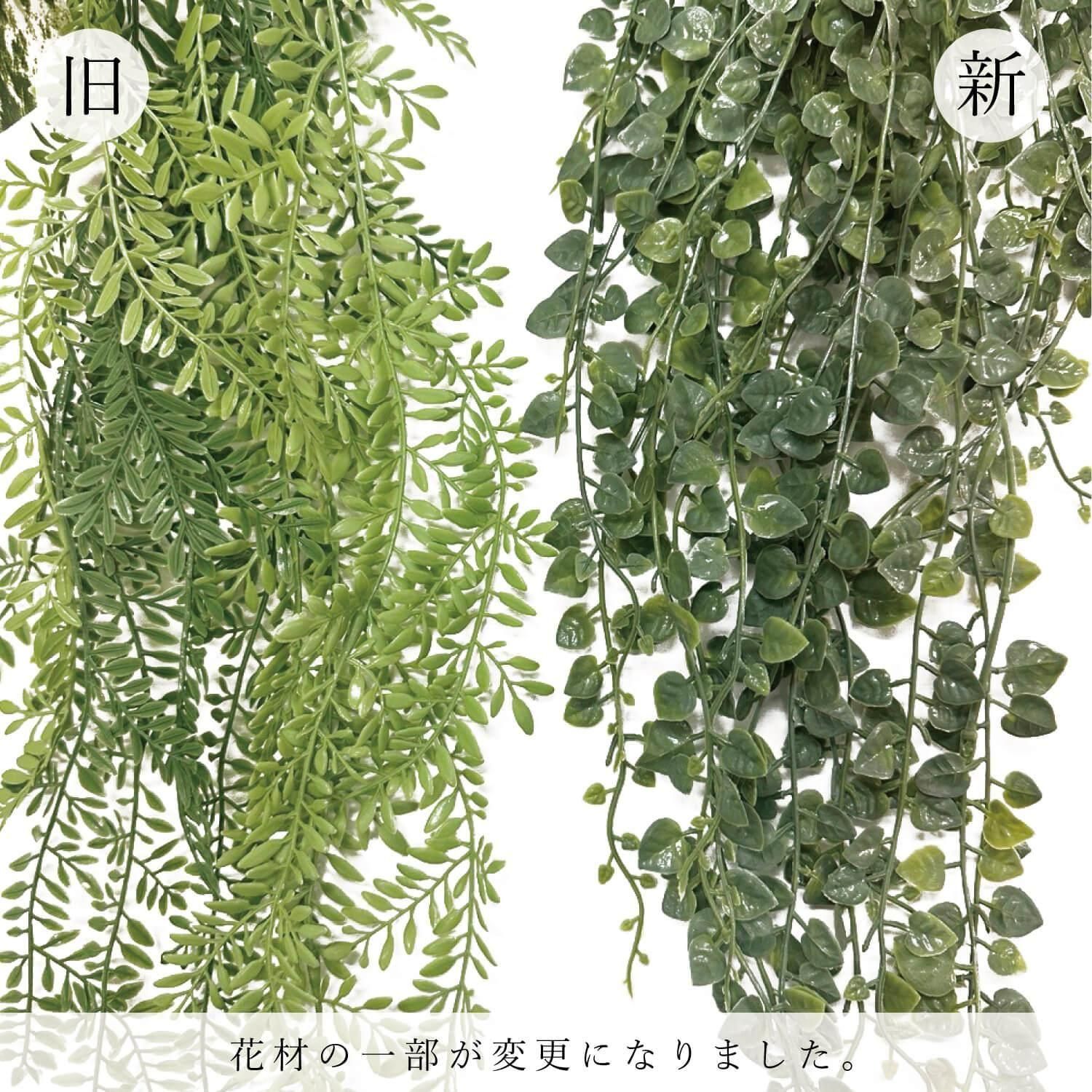 ե쥭֥륫ƥ եå奰꡼ տʪ ե꡼ eco
