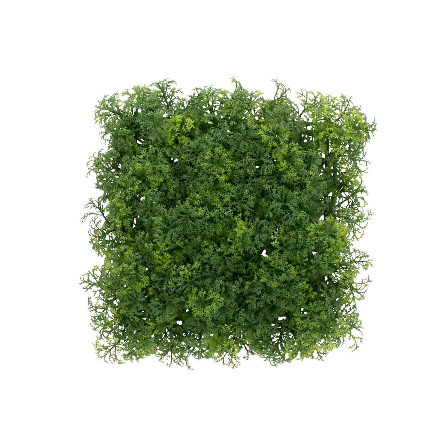 Water꡼եѥͥ ñʲֺ ¤ ƥեե eco