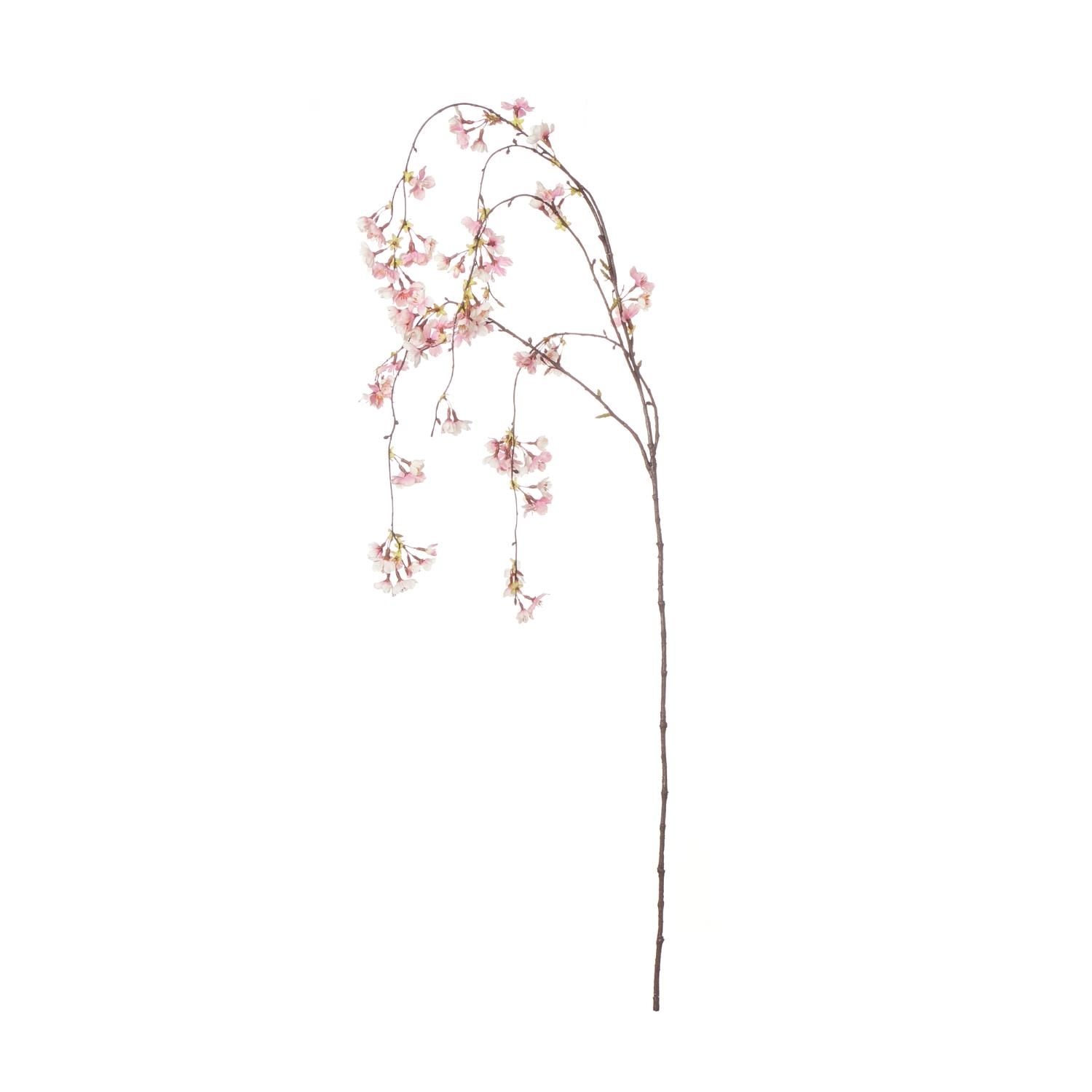 ALBATROSS-FUYUZAKURA HH-WSE'22 | Deviser ｜株式会社ディ