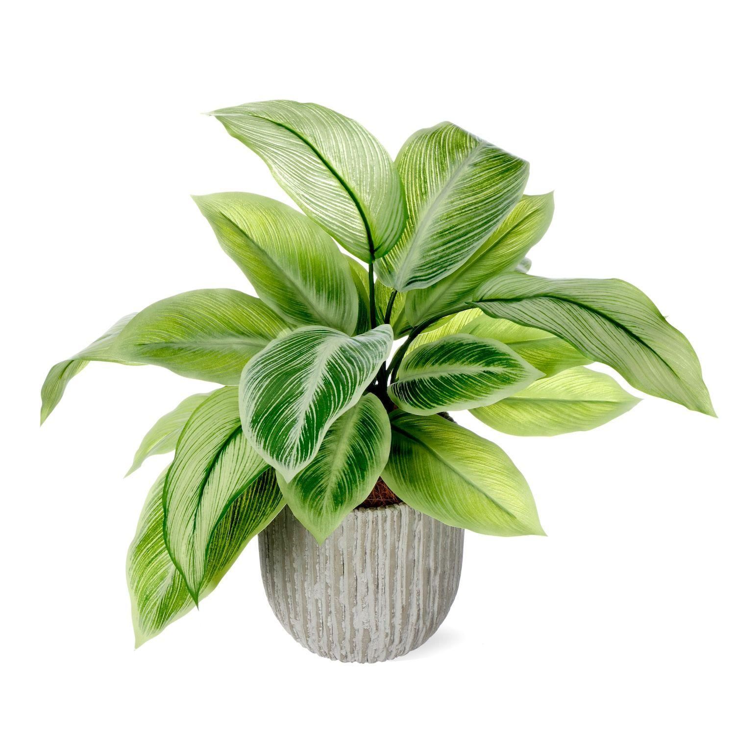 ディフェンバキア オベリスポットM フェイクグリーン | 造花専門店プリマ
