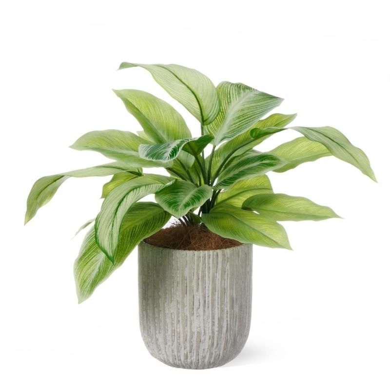 マグノリアリーフの観葉植物 フェイクグリーン | 造花専門店プリマ