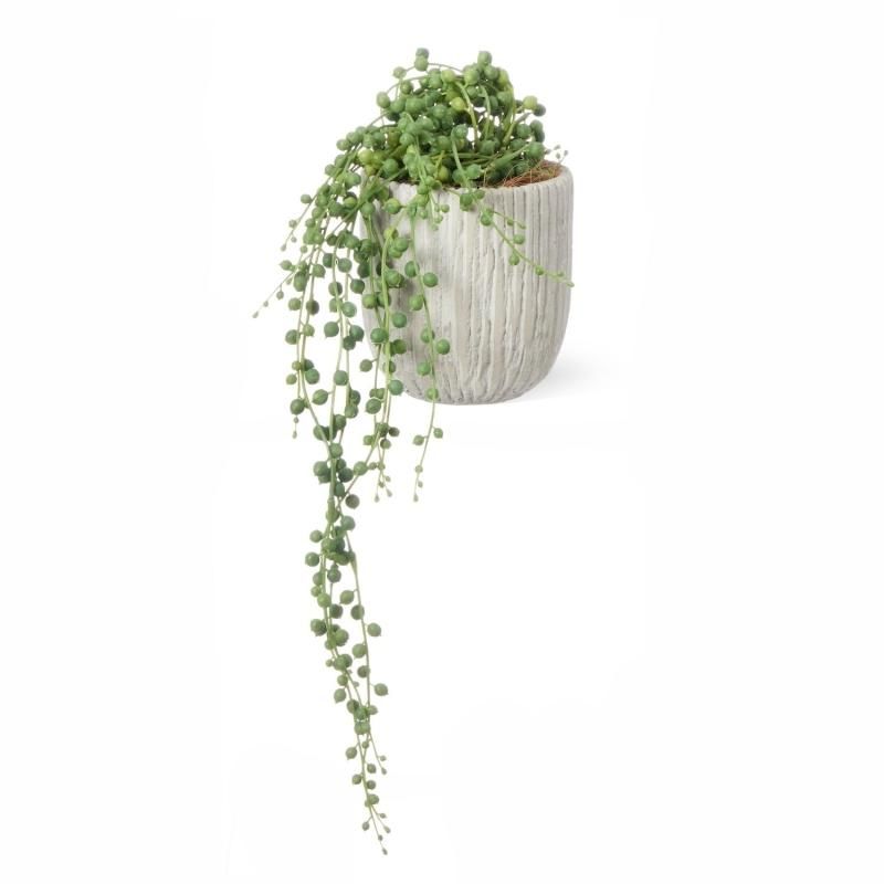 ꡼ͥå쥹 ٥ꥹݥåS տʪ ե꡼ eco