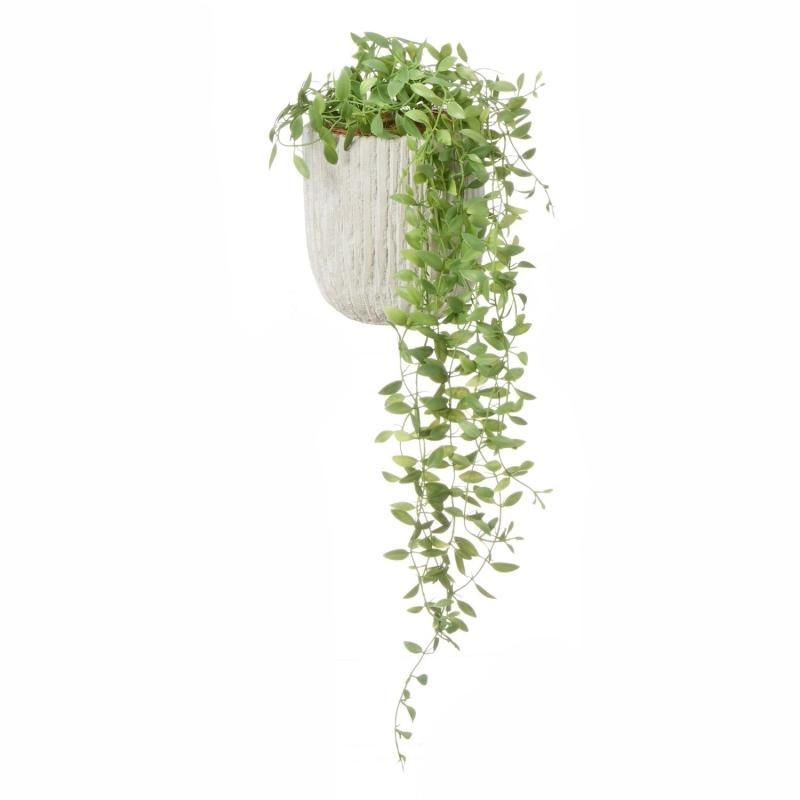 ǥǥ ٥ꥹݥåS տʪ ե꡼ eco