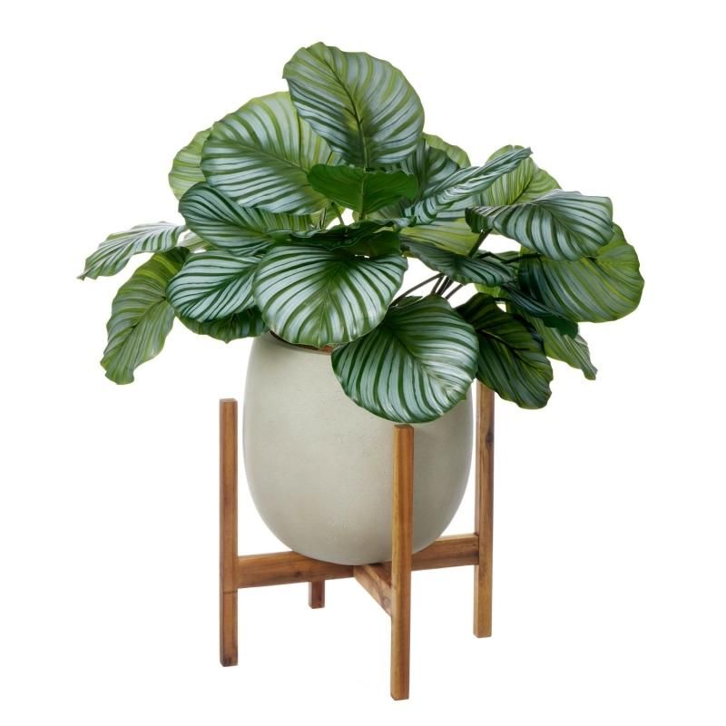 ƥ åݥåȵ H70cm ܥ꡼ տʪ ե꡼ eco