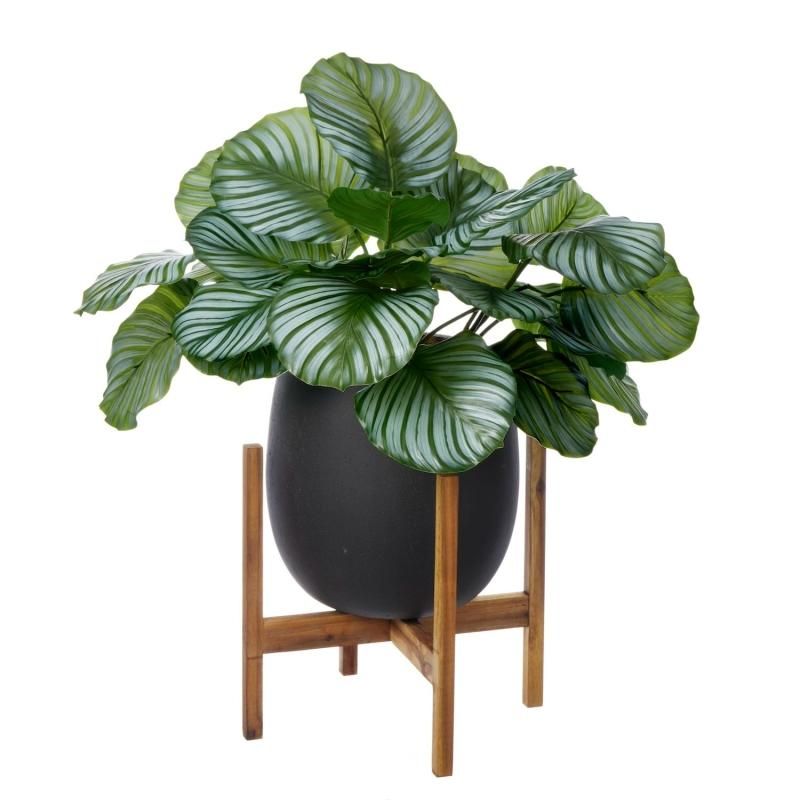 ディフェンバキアの観葉植物 フェイクグリーン | 造花専門店プリマ