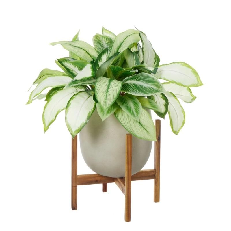 ǥեХ åݥåȵ H74cm ܥ꡼ տʪ ե꡼ eco