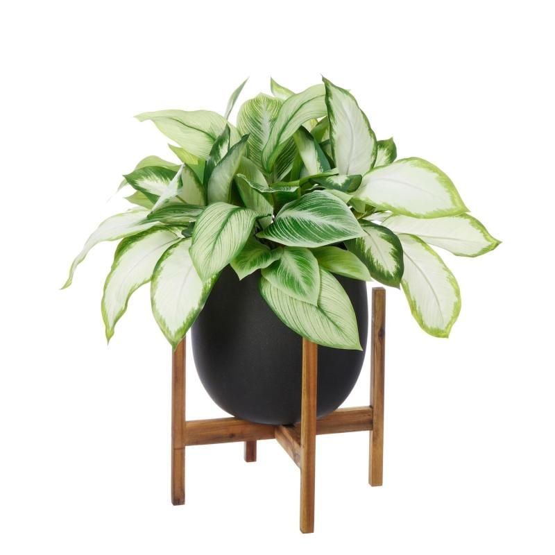 ǥեХ åݥåȵ H74cm ֥å տʪ ե꡼ eco