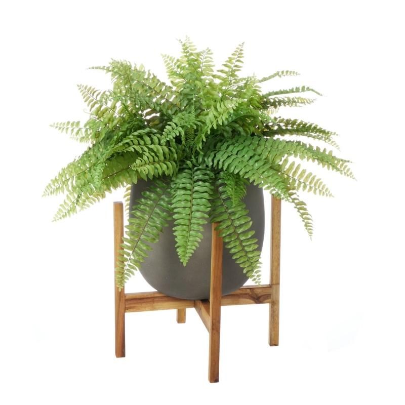 ޥ  åݥåȵ H70cm 졼 տʪ ե꡼ eco