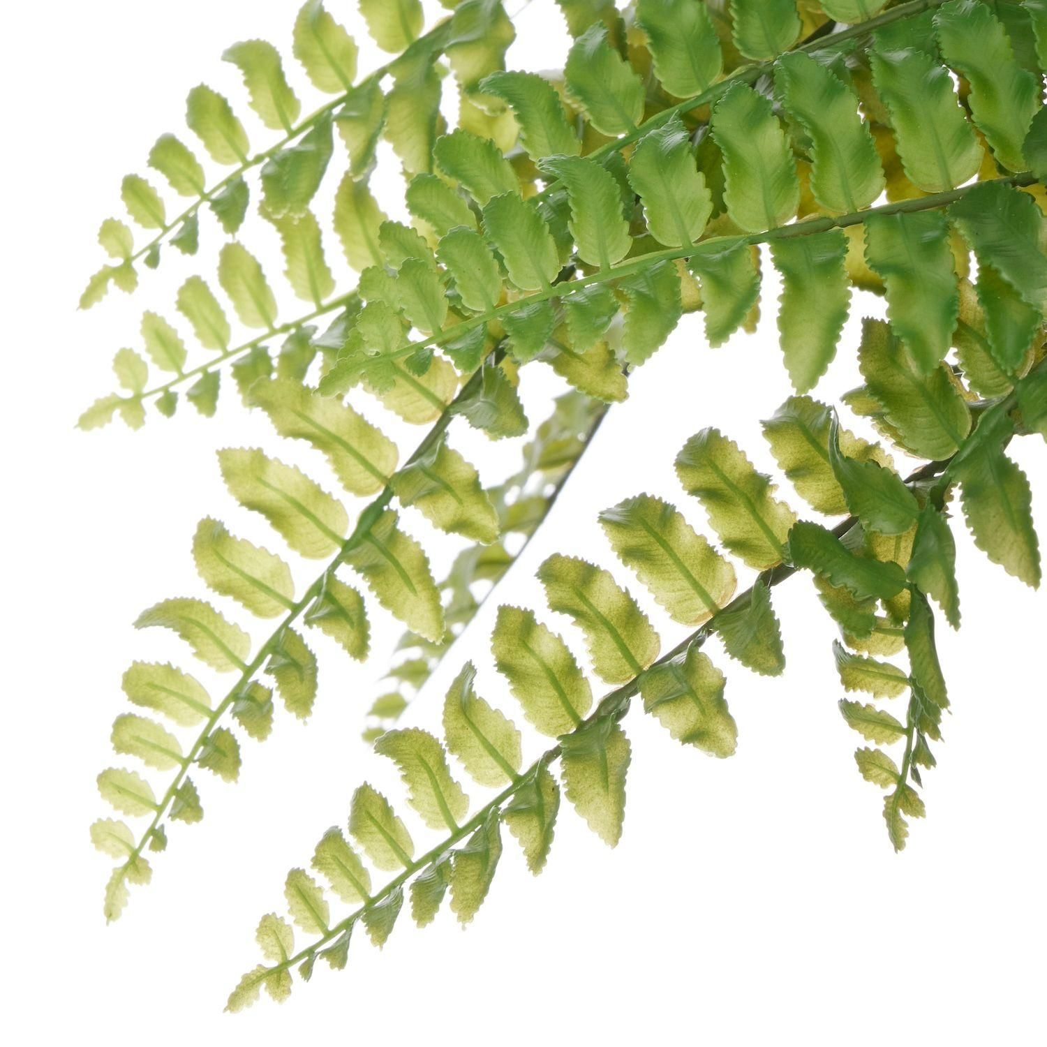 ޥ  åݥåȵ H70cm ֥å տʪ ե꡼ eco
