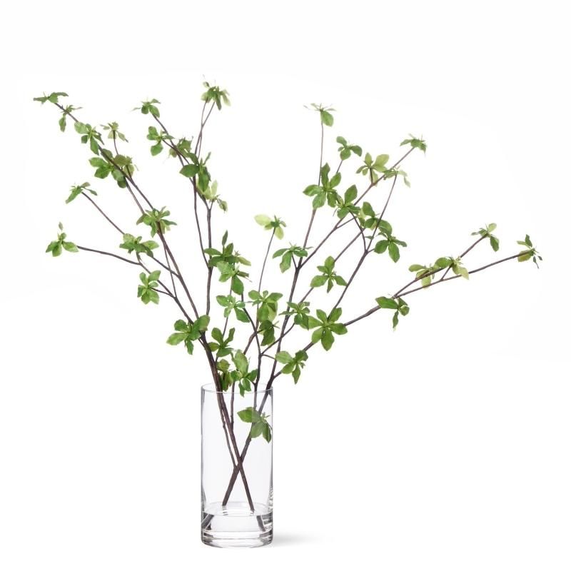 ɥĥĥ Water H58cm տʪ ե꡼ в١