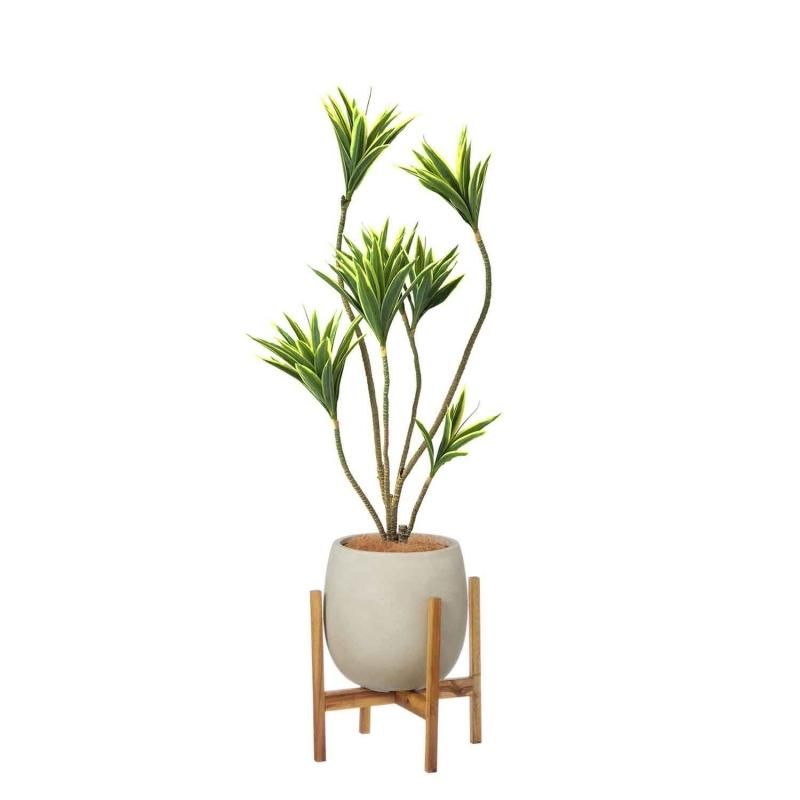 ɥ饻 åݥåȵ H135cm ܥ꡼ տʪ ե꡼ Ҹľʡ eco