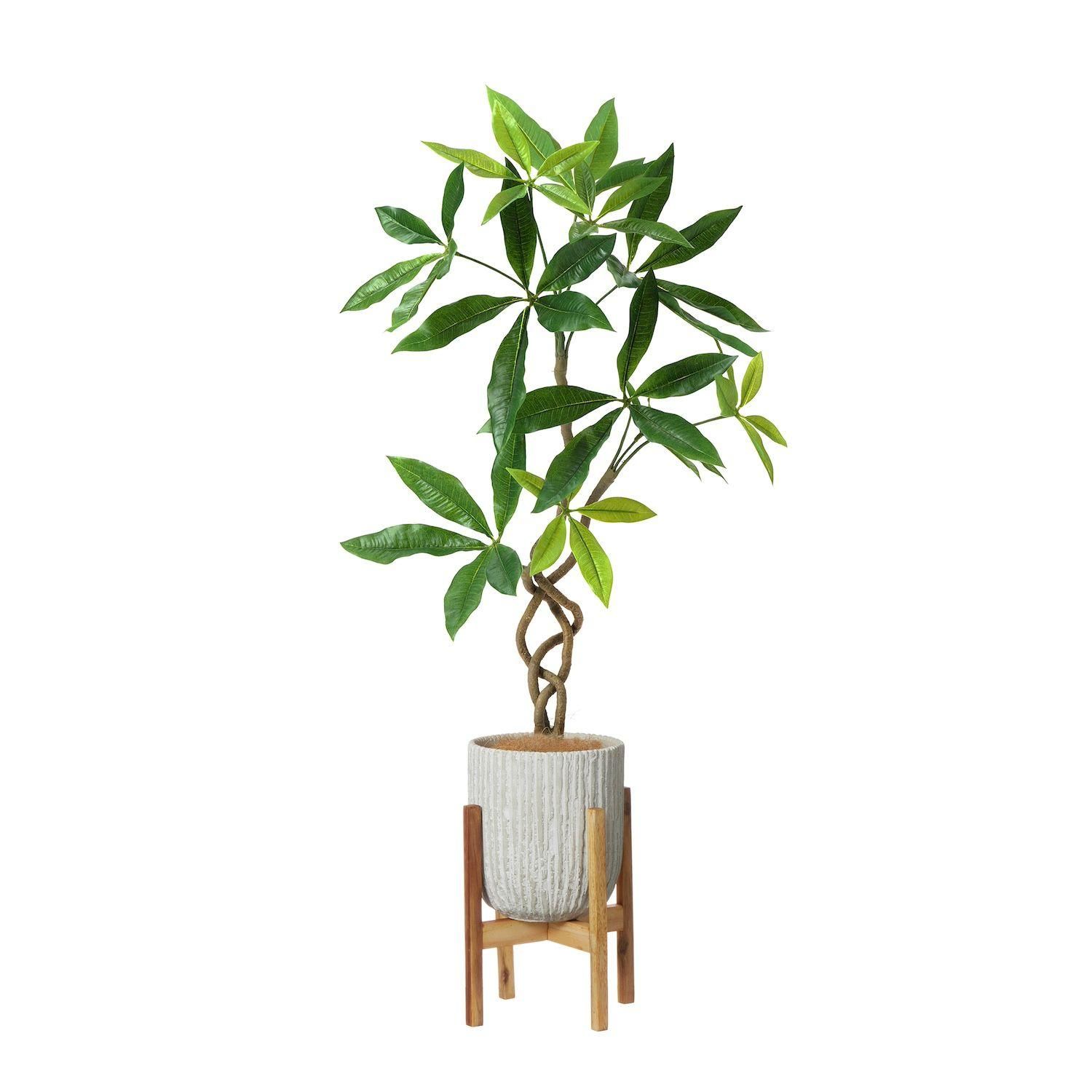 ツイストパキラの観葉植物 フェイクグリーン | 造花専門店プリマ