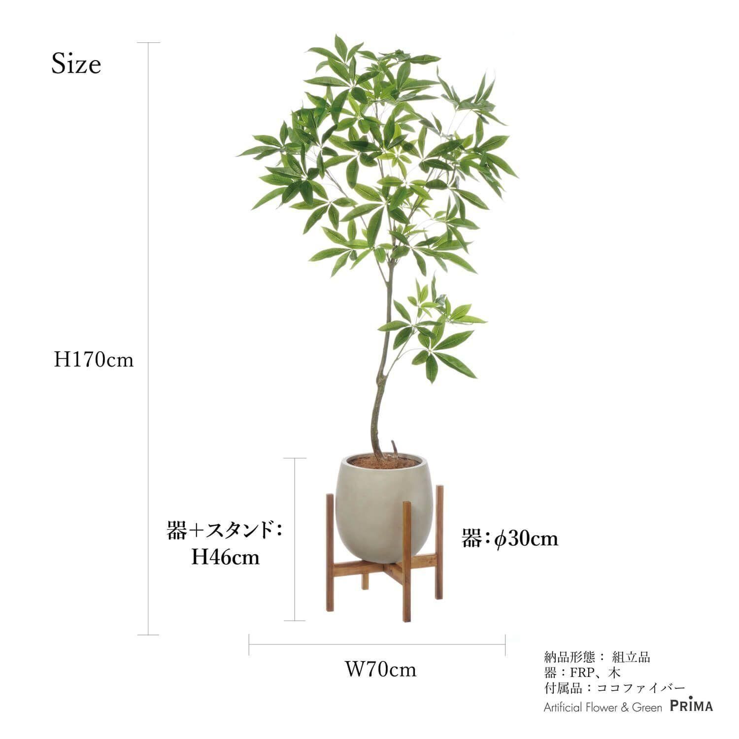 ѥ åݥåȵ H170cm ܥ꡼ տʪ ե꡼ Ҹľʡ