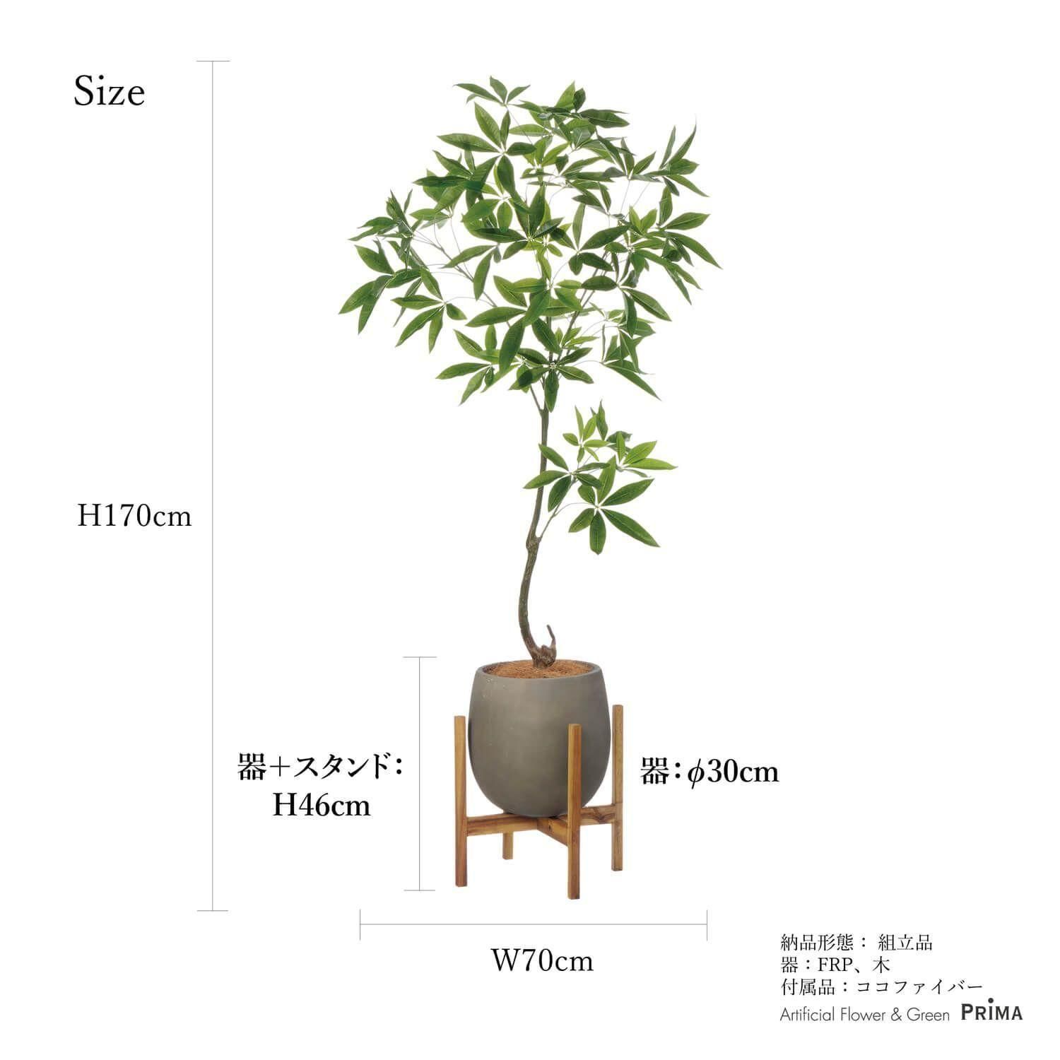 ѥ åݥåȵ H170cm 졼 տʪ ե꡼ Ҹľʡ