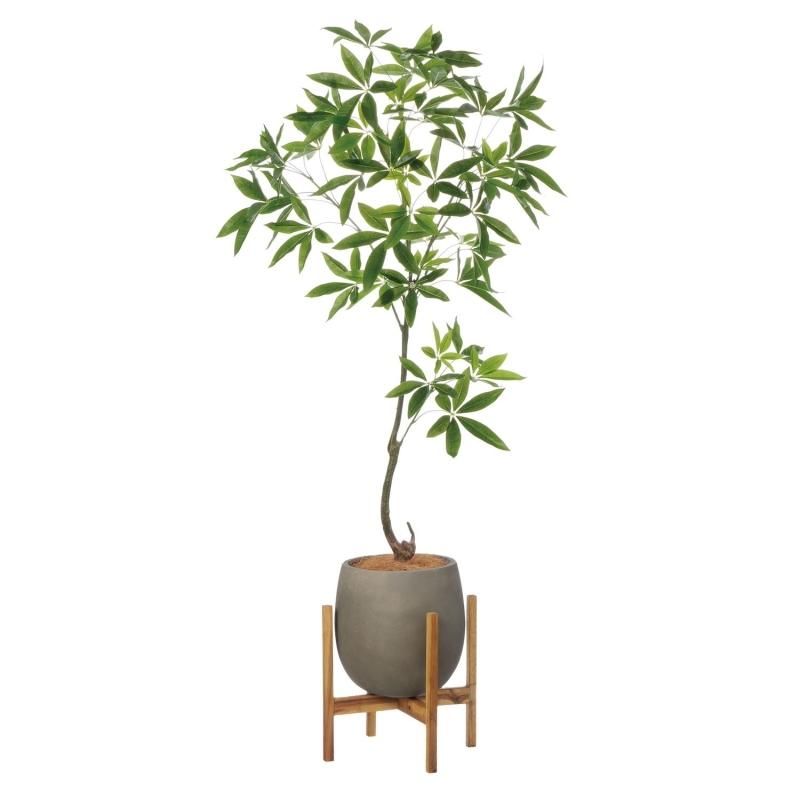 光触媒　人工観葉植物　ウォールグリーン　フェイクグリーン　ツイストパキラ2.1 光触媒 人工観葉植物 ウォールグリーン フェイクグリーン