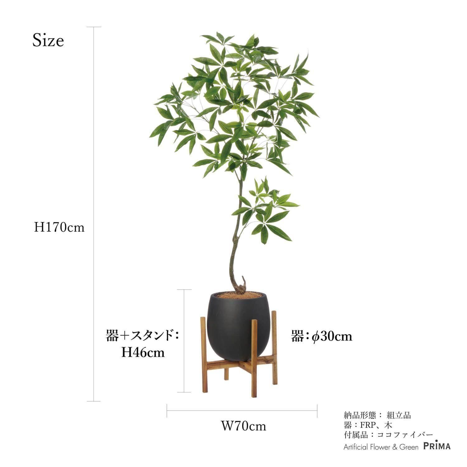 ѥ åݥåȵ H170cm ֥å տʪ ե꡼ Ҹľʡ