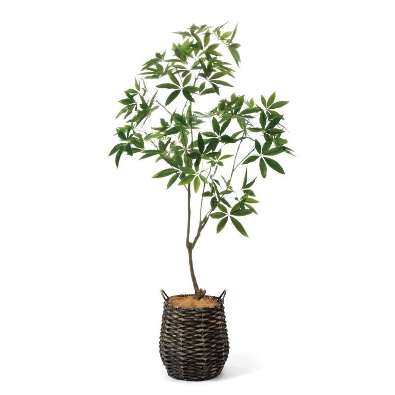 光触媒 人工観葉植物 ウォールグリーン フェイクグリーン スリムパキラ