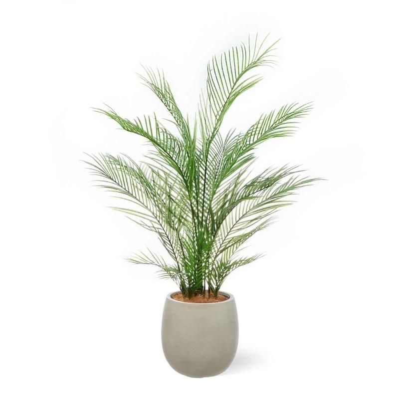 쥫䥷 åݥå H130cm ܥ꡼ տʪ ե꡼ Ҹľʡ