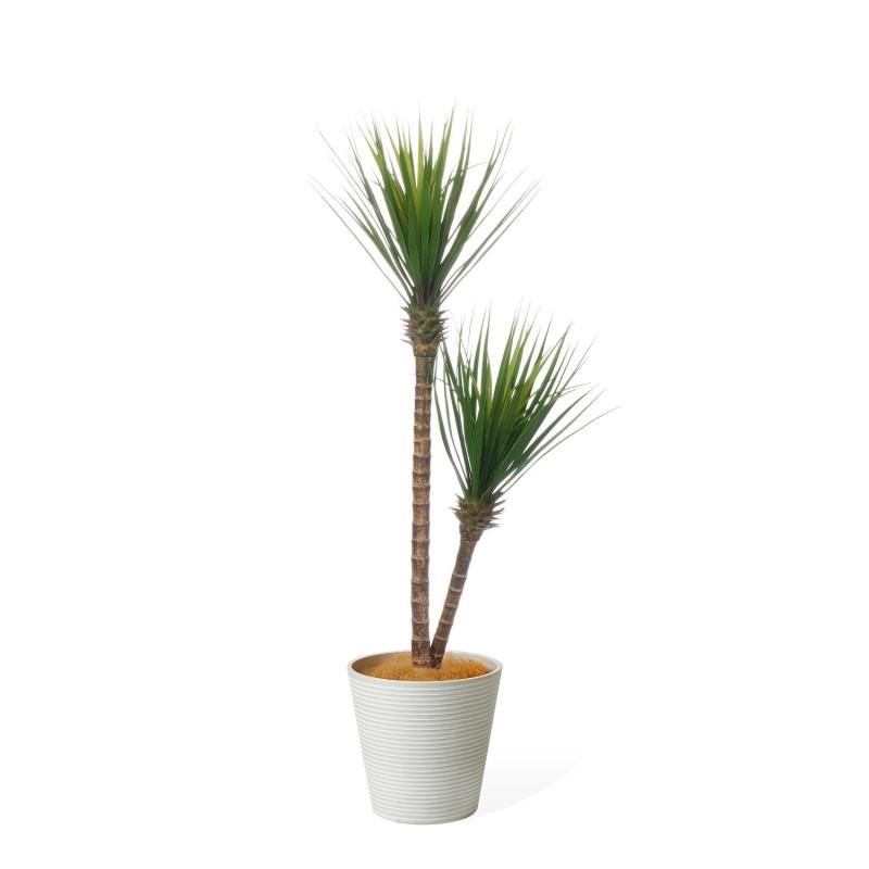 å GWץ󥿡 H140cm ܡۥ磻 տʪ ե꡼ Ҹľʡ