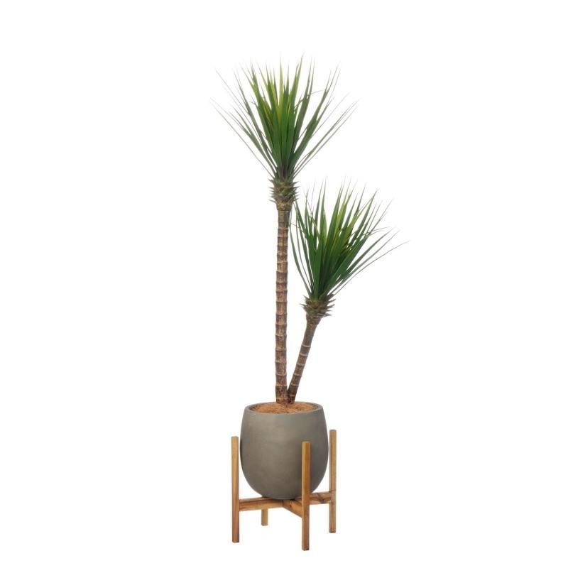 å åݥåȵ H150cm 졼 տʪ ե꡼ Ҹľʡ