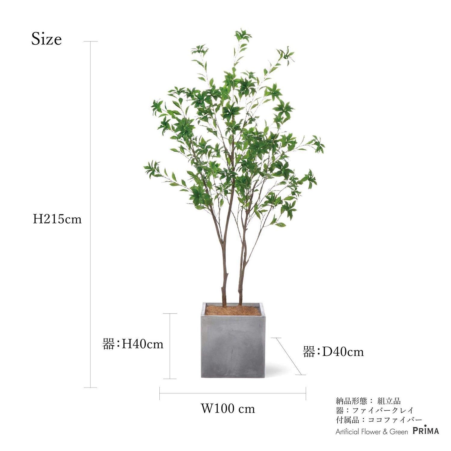   塼 H215cm  տʪ ե꡼ Ҹľʡ
