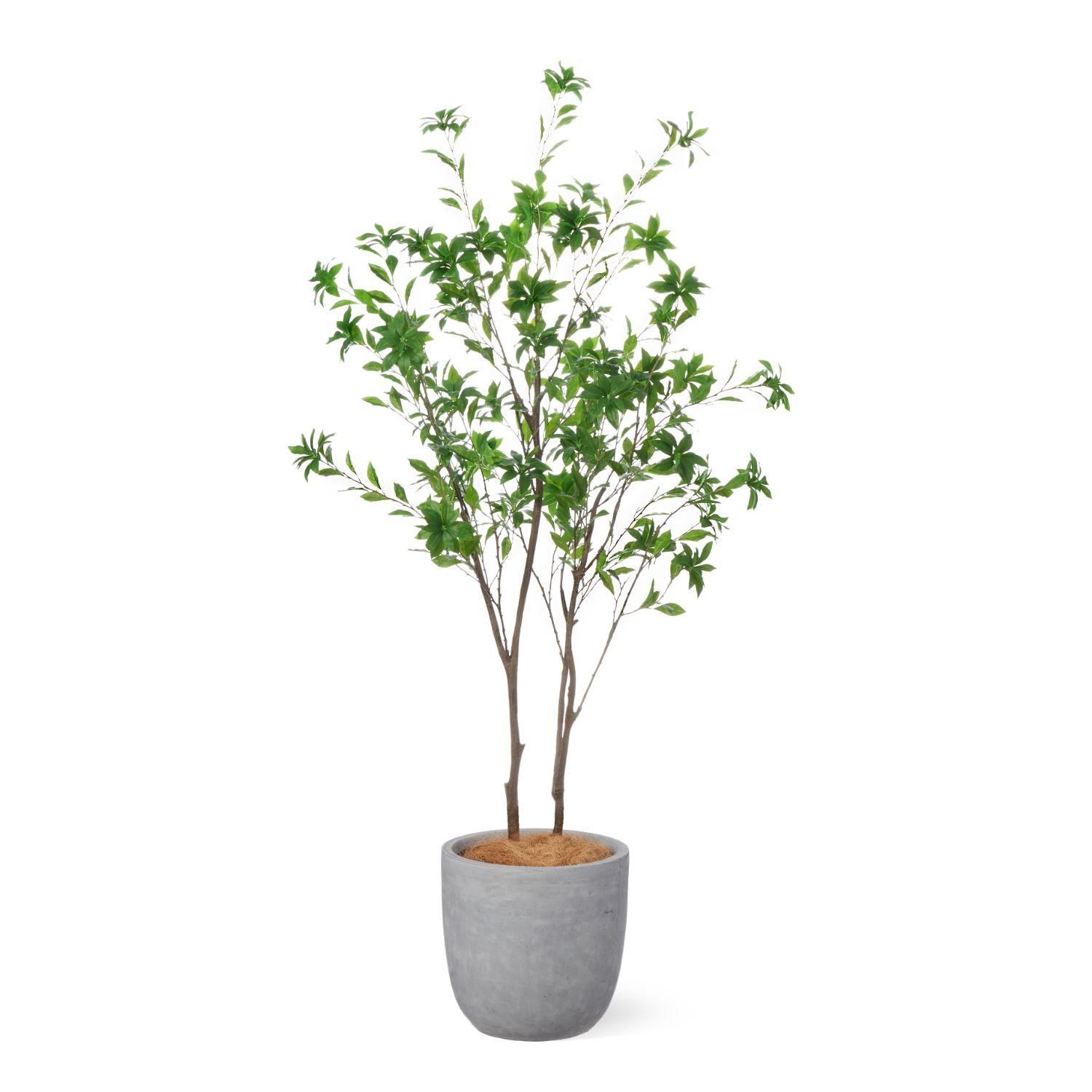 アセビの観葉植物 フェイクグリーン | 造花専門店プリマ