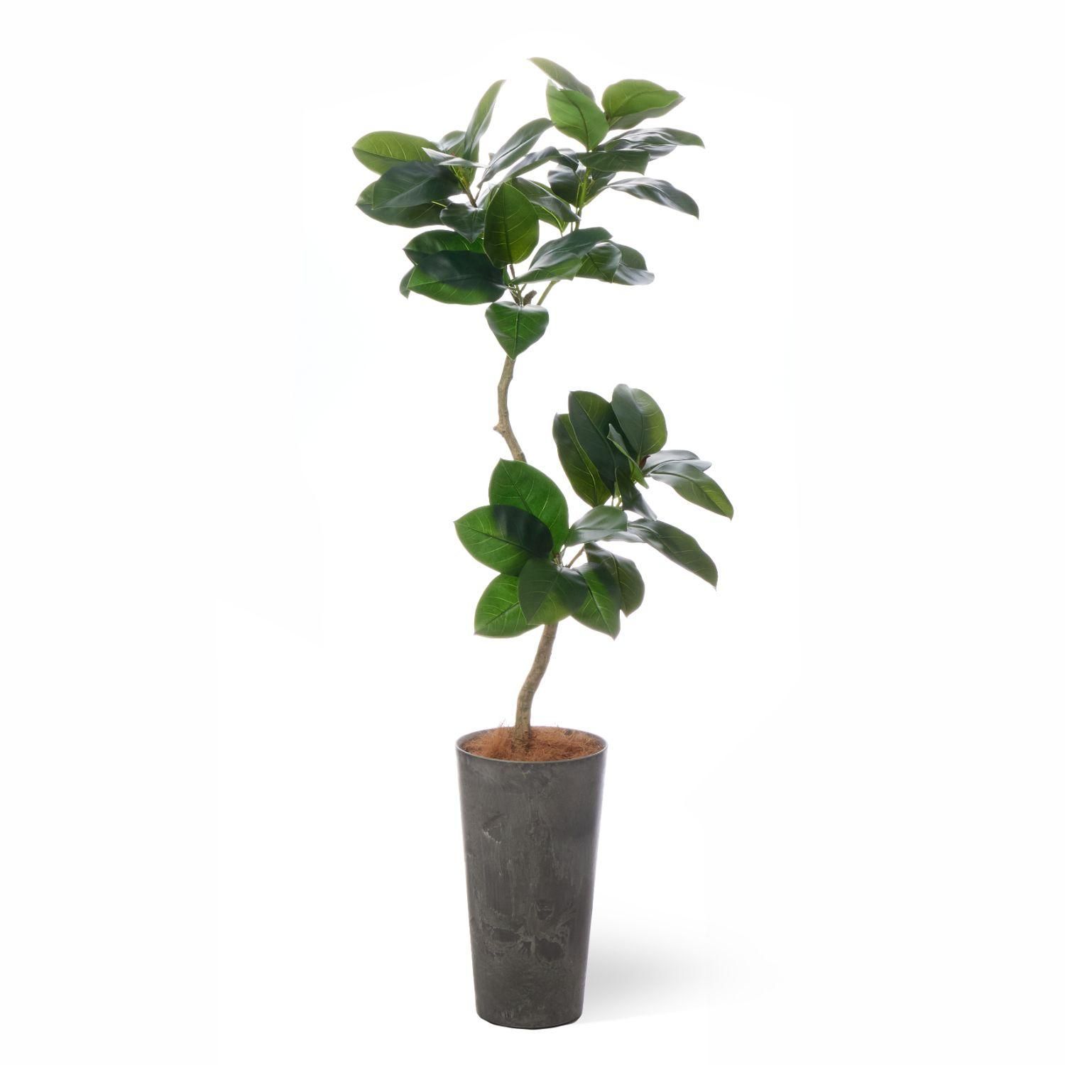 フェイクグリーン　観葉植物 ゴムリーフの観葉植物 フェイクグリーン | 造花専門店プリマ