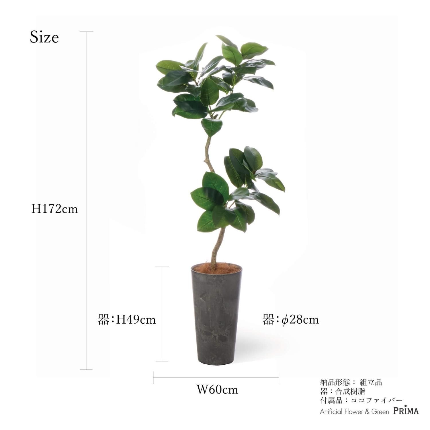 ゴムリーフの観葉植物 フェイクグリーン | 造花専門店プリマ