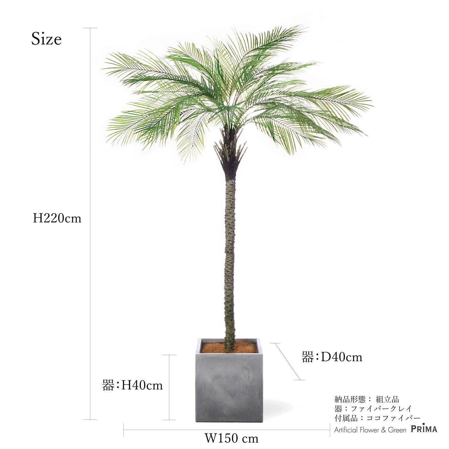 ѡ䥷 塼 H220cm  տʪ ե꡼ Ҹľʡ