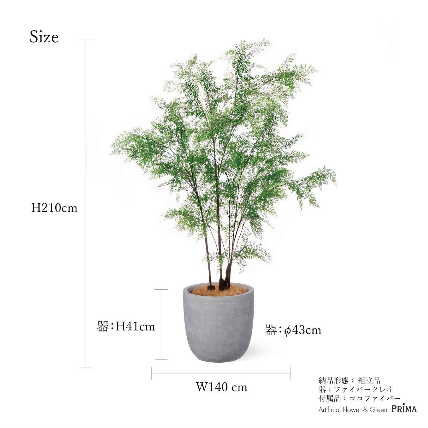 シダの観葉植物 フェイクグリーン | 造花専門店プリマ