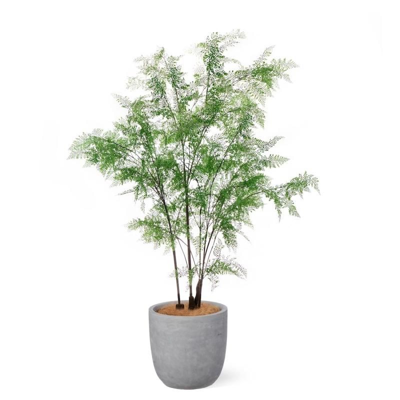 シダ│フェイクグリーン・造花専門店プリマ 通販