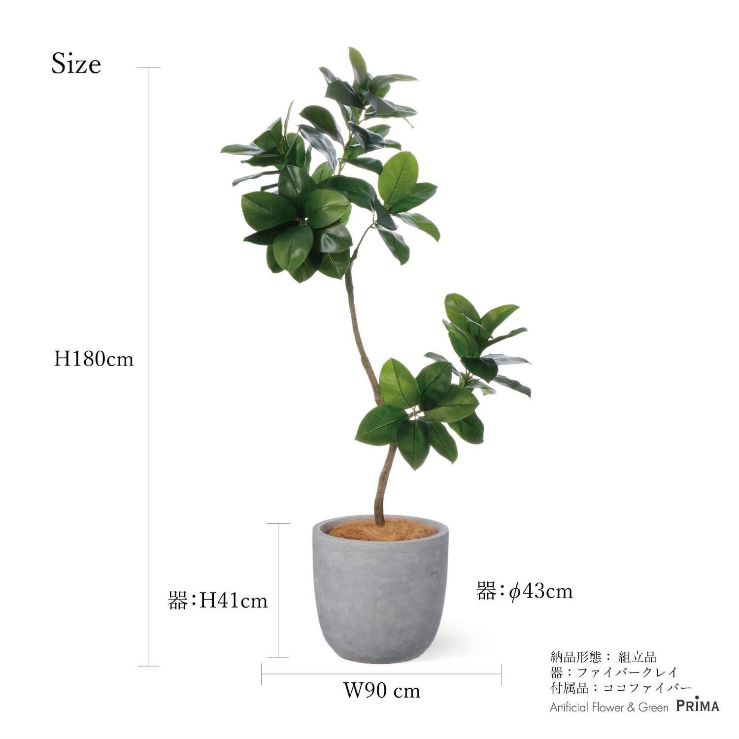 ゴムリーフの観葉植物 フェイクグリーン | 造花専門店プリマ