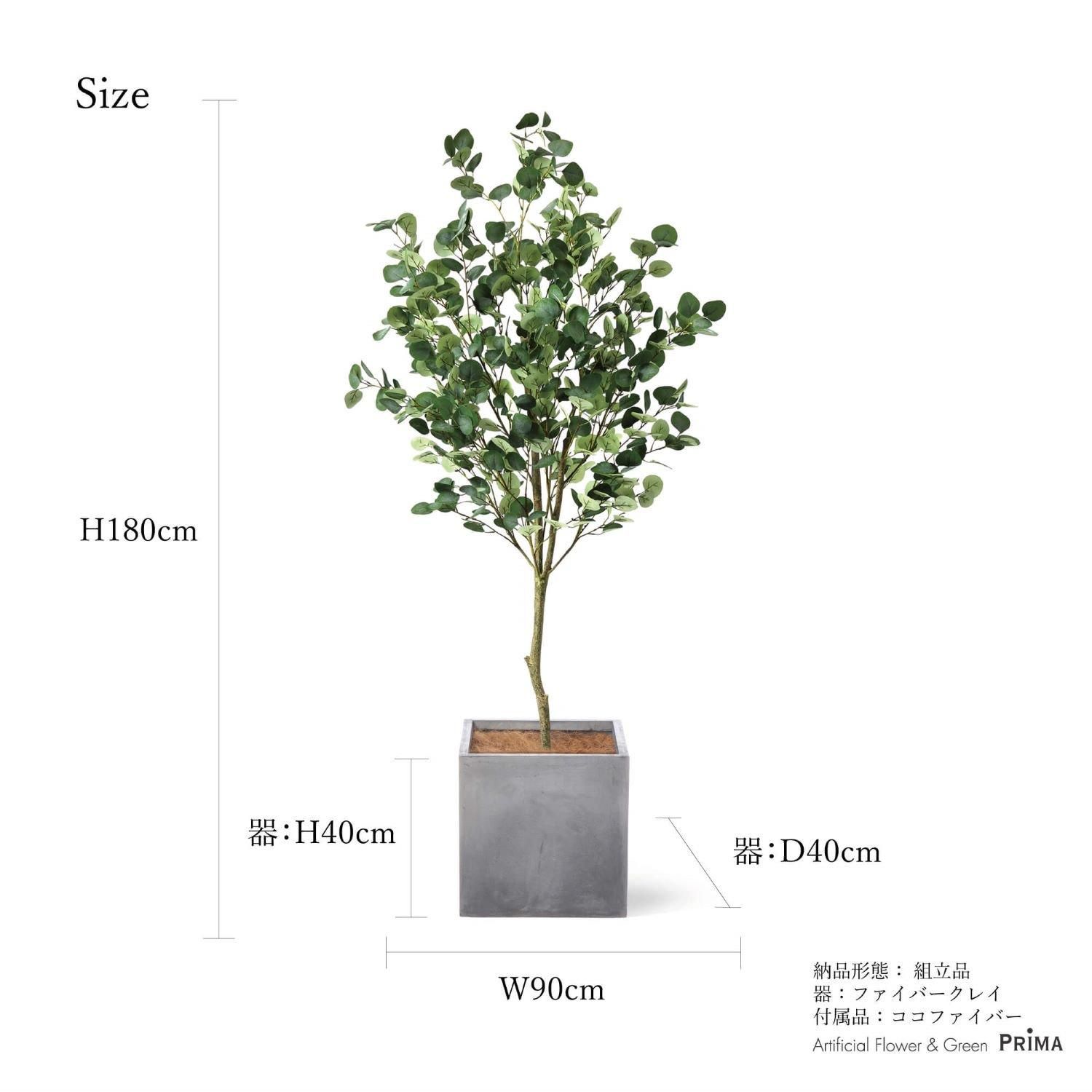 桼 塼 H180cm  տʪ ե꡼ Ҹľʡ