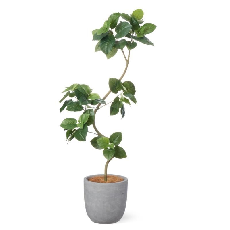 ĥȥ٥顼 饦 H200cm տʪ ե꡼ Ҹľʡ eco