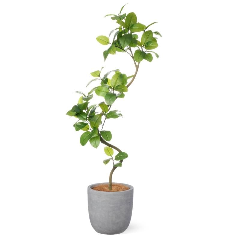 特大観葉植物・フロアグリーン商品一覧│フェイクグリーン・造花専門店