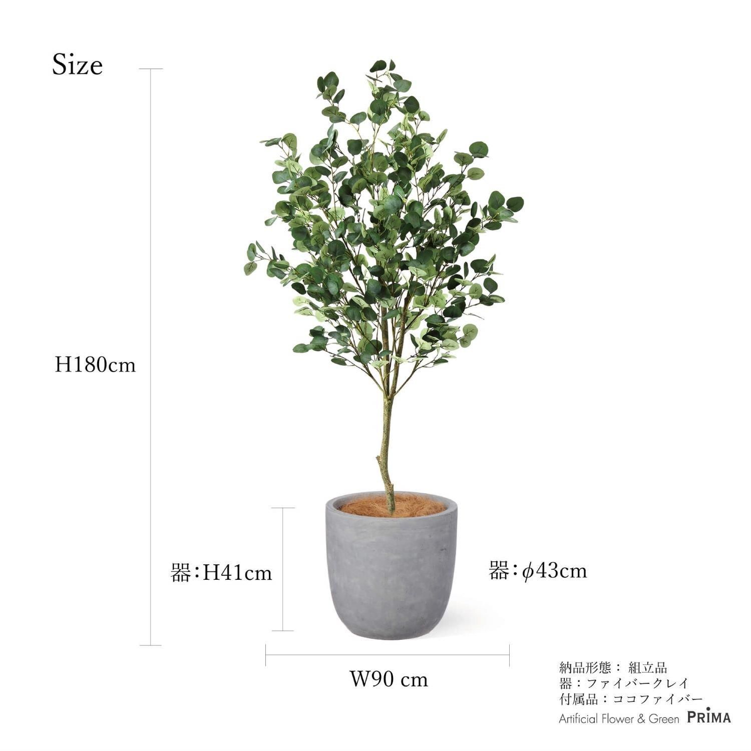 桼 饦 H180cm  տʪ ե꡼ Ҹľʡ