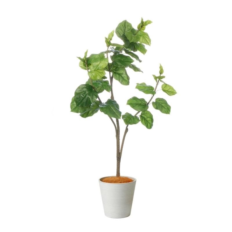 ٥顼 GWץ󥿡 H150cm ܡۥ磻 տʪ ե꡼