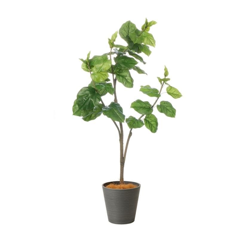 50%OFF Ÿ ʸ¤ ٥顼 GWץ󥿡 H150cm ܡ졼 տʪ ե꡼<img class='new_mark_img2' src='https://img.shop-pro.jp/img/new/icons2.gif' style='border:none;display:inline;margin:0px;padding:0px;width:auto;' />