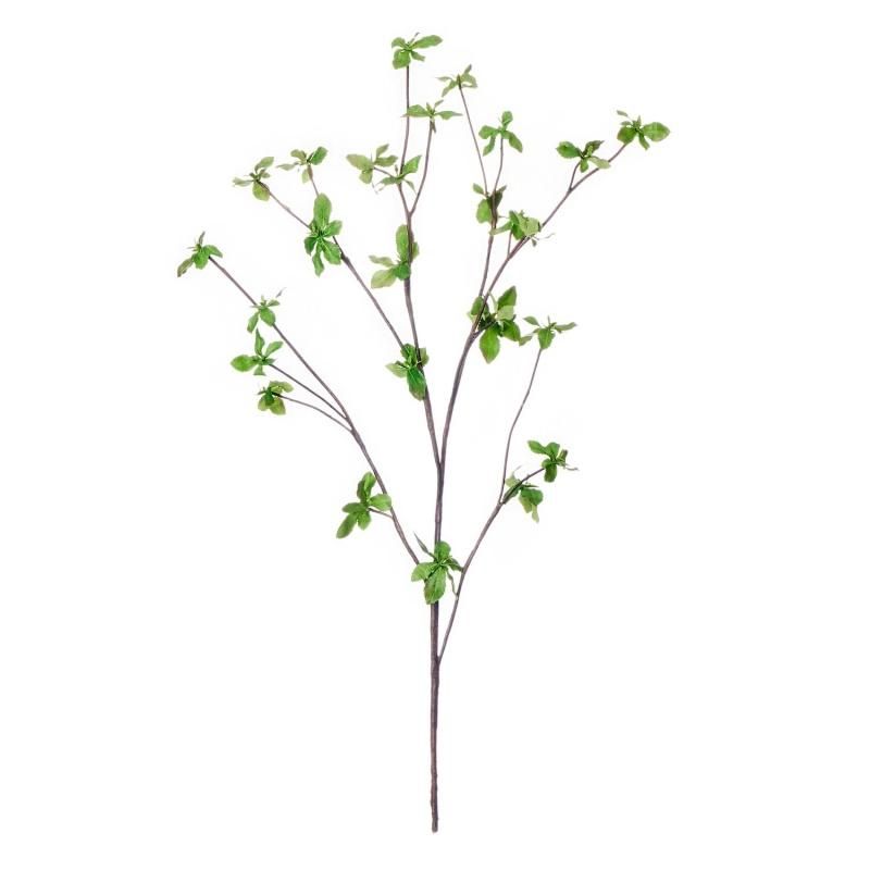 ɥĥĥ ꡼ H62cm ñʲֺ ¤ ƥեե