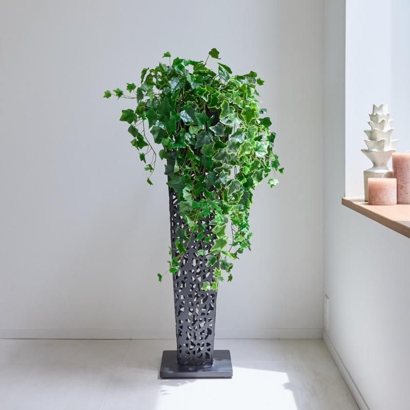 30%OFFۥӡΥ󥹥L BK տʪ ե꡼<img class='new_mark_img2' src='https://img.shop-pro.jp/img/new/icons2.gif' style='border:none;display:inline;margin:0px;padding:0px;width:auto;' />