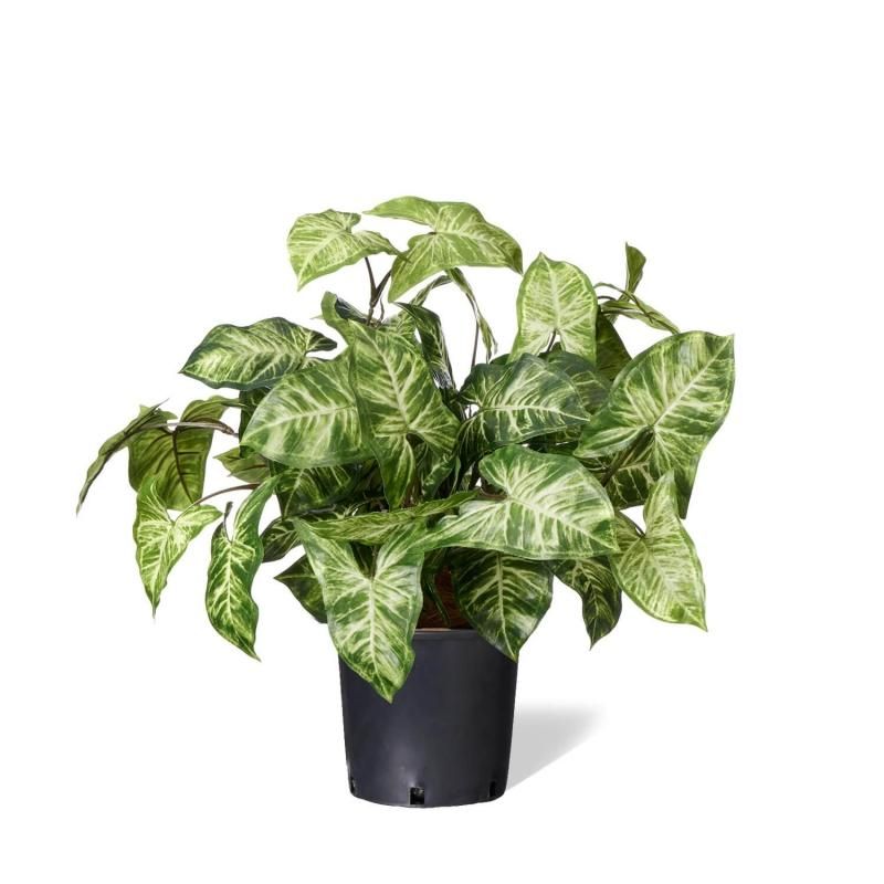 アレカヤシ。観葉植物。鉢ごと無料で発送致します。 アレカヤシの観葉植物 5号鉢 フェイクグリーン | 造花専門店プリマ