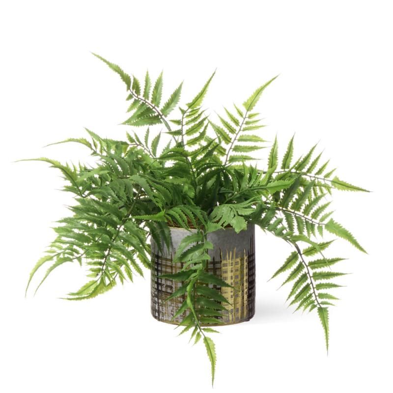 ⭐︎リアル　シダなど シダ│フェイクグリーン・造花専門店プリマ 通販